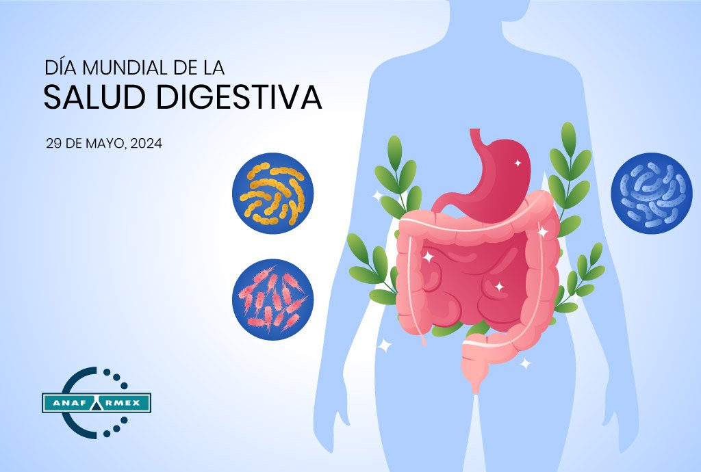 Día Mundial de la Salud Digestiva: Prioriza tu bienestar intestinal y evita enfermedades crónicas