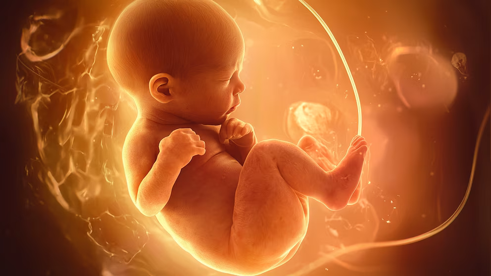 La importancia del Día Mundial de la Fertilidad en la salud reproductiva