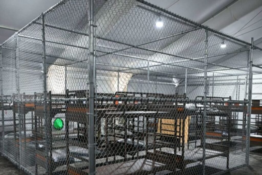EE.UU. comienza a deportar a migrantes en vuelos desde 'Alligator Alcatraz' en Florida