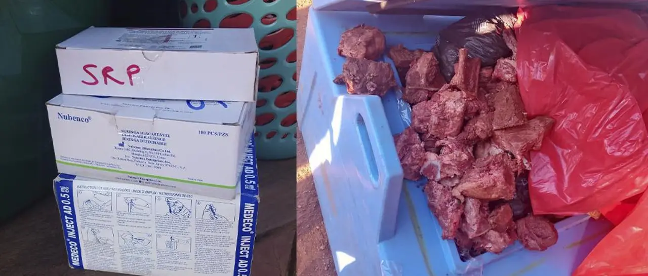 Dos aprehendidos por utilizar conservadoras de vacunas para transportar carne