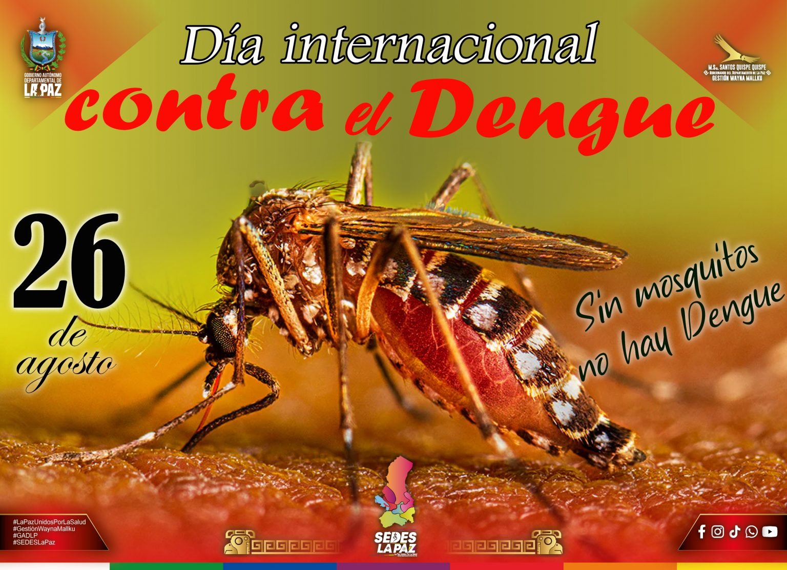 Día Internacional de Lucha Contra el Dengue: conciencia y prevención