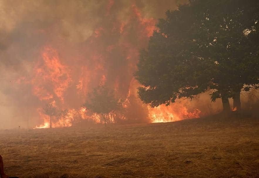 más de un millón de hectáreas arrasadas