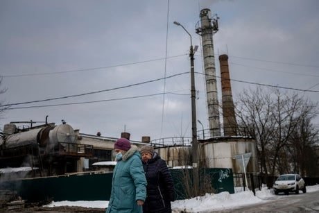 Capturan en Rusia a delincuentes que intentaron enviar drogas a una cárcel con un gato