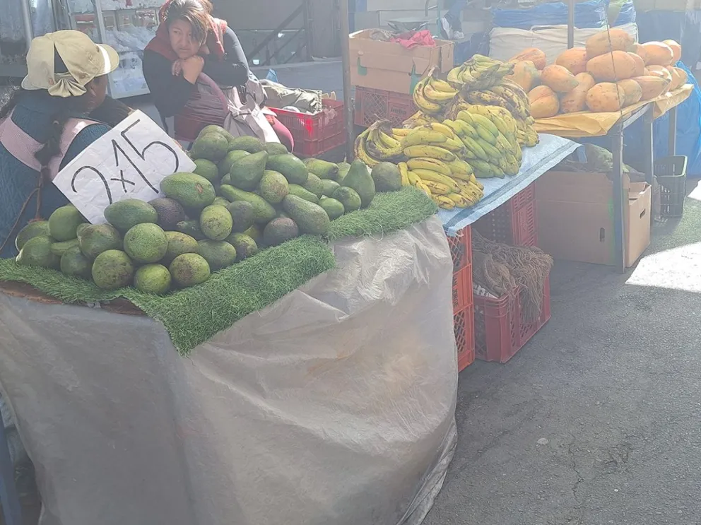 Senasag anuncia controles para evitar ingreso de palta peruana contaminada con cadmio