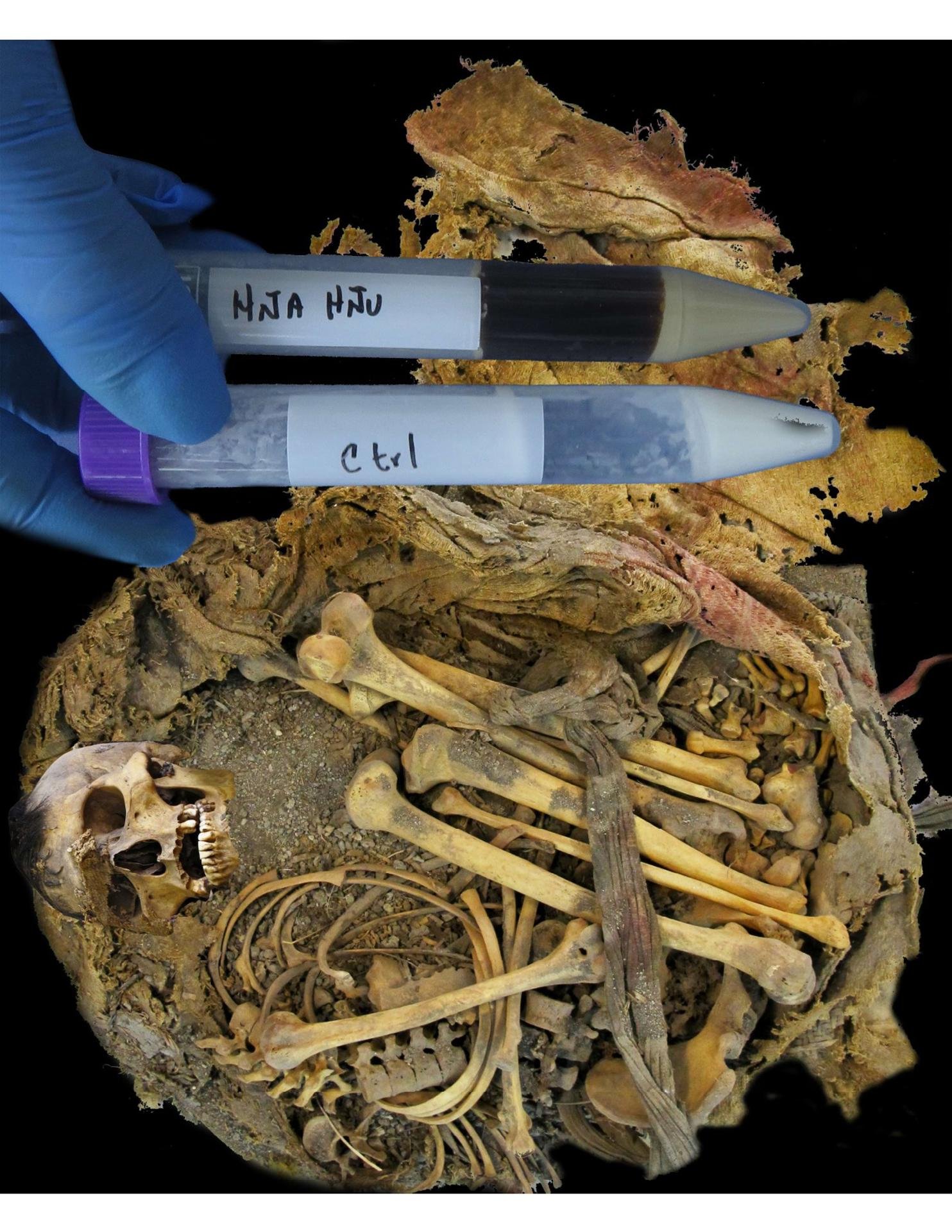 El microbioma intestinal de un joven del México precolombino desvela cambios evolutivos