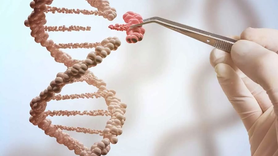 el proyecto secreto de una 'startup' estadounidense