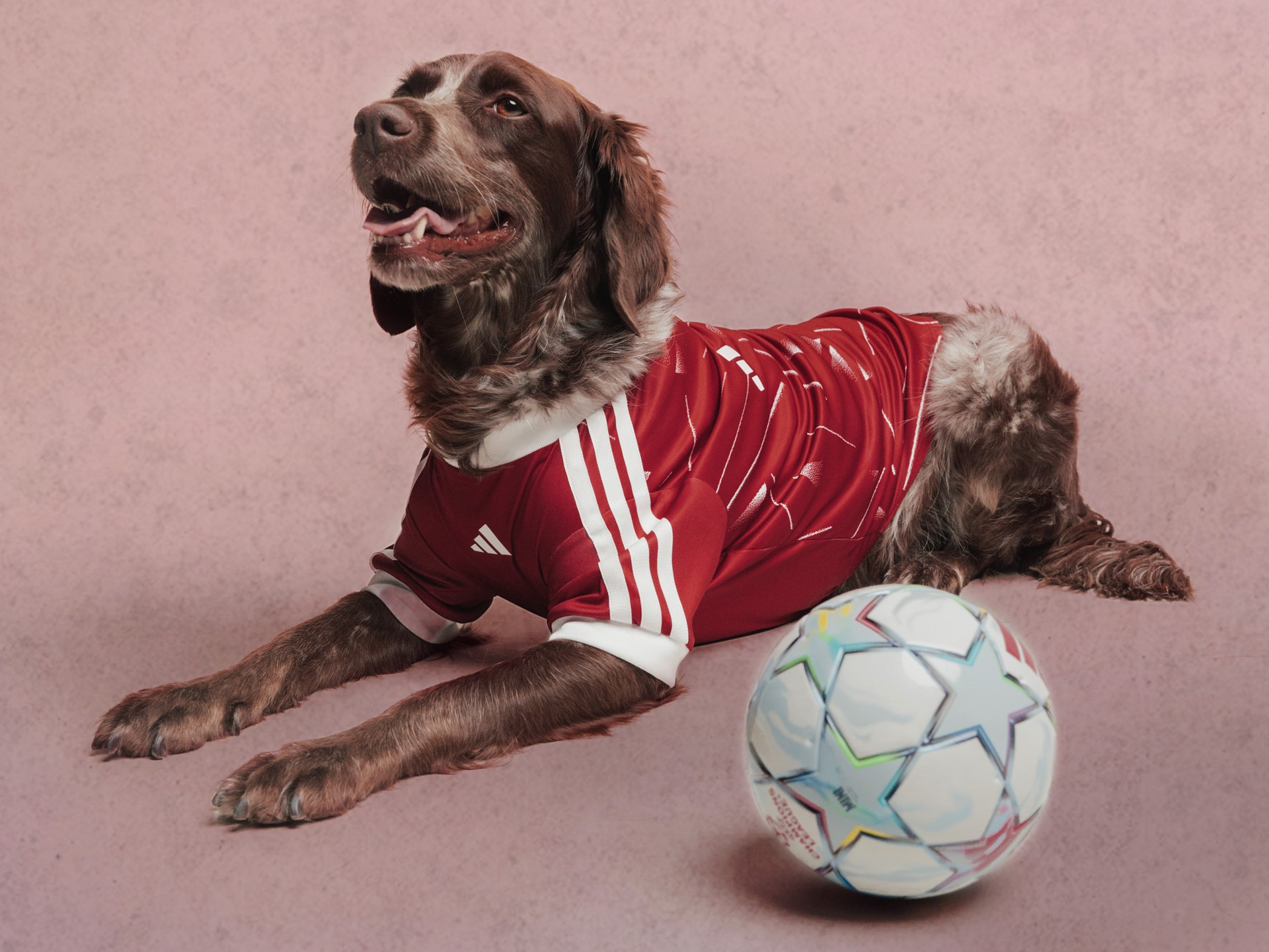 colección-de-mascotas-adidas-originals-fc-rave-style