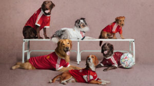 Adidas-Originals-lleva-la-cultura-del-futbol-a-las-mascotas.jpg