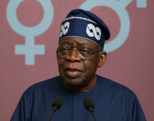 El-presidente-Tinubu-ordena-una-auditoria-integral-del-IPPIS-y.webp