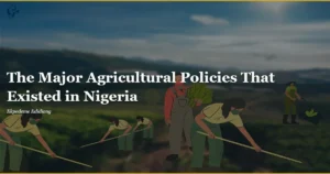 Las-principales-politicas-agricolas-que-existieron-en-Nigeria.webp