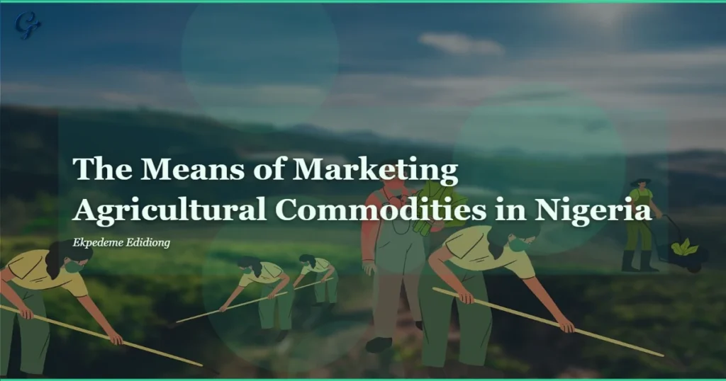 Los-medios-de-comercializacion-de-productos-agricolas-en-Nigeria.webp