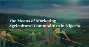 Los-medios-de-comercializacion-de-productos-agricolas-en-Nigeria.webp