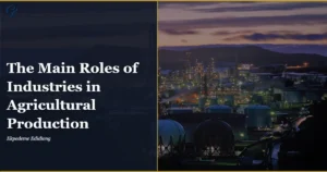 Los-principales-roles-de-las-industrias-en-la-produccion-agricola.webp