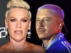 La-cantante-Pink-critica-a-Macklemore-tras-los-comentarios-pro.jpg