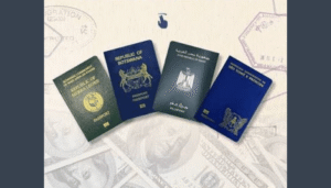 Cambiar-la-visa-dorada-en-Africa-debe-centrarse-en-el.png