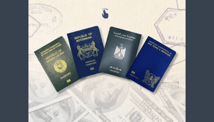 Cambiar-la-visa-dorada-en-Africa-debe-centrarse-en-el.png