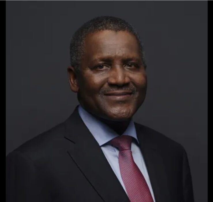 Compre-mi-primer-jet-privado-a-los-22-Dangote.jpg