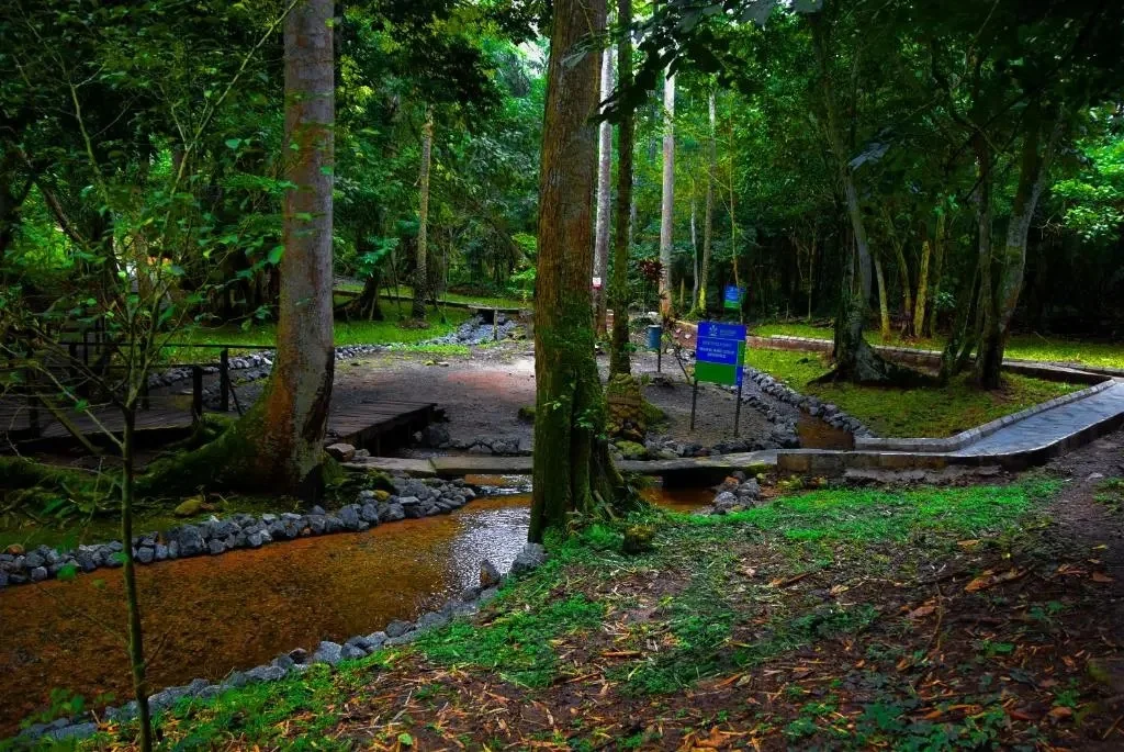 Ikogosi-lleva-campana-de-turismo-a-USA-con-el-patrocinio.jpg