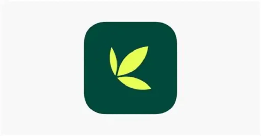 La-aplicacion-Bamboo-falla-debido-al-aumento-en-el-trafico.webp