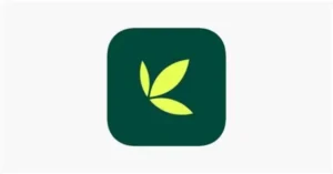 La-aplicacion-Bamboo-falla-debido-al-aumento-en-el-trafico.webp