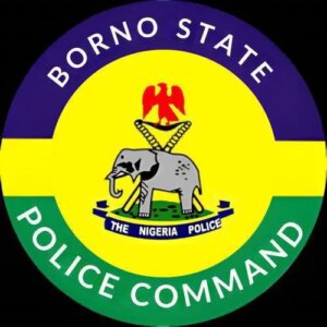 La-policia-de-Borno-aclara-el-arresto-de-cinco-hombres.jpg