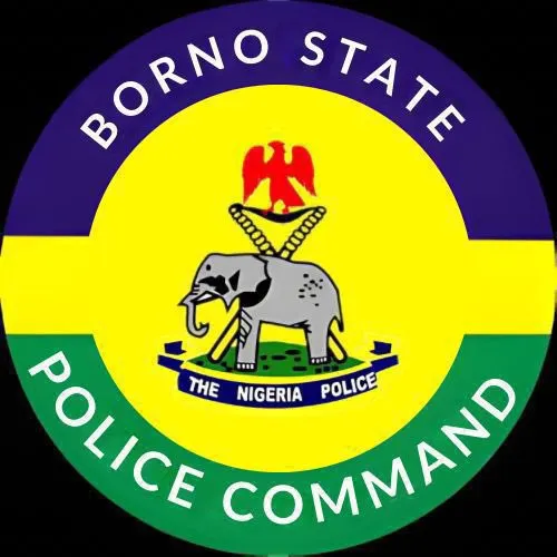 La-policia-de-Borno-aclara-el-arresto-de-cinco-hombres.jpg