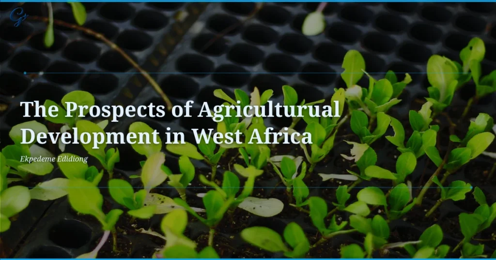 Las-perspectivas-del-desarrollo-agricola-en-Africa-occidental.webp