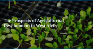 Las-perspectivas-del-desarrollo-agricola-en-Africa-occidental.webp