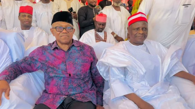 NDC-repudia-el-consejo-de-campana-presidencial-del-movimiento-ObiKwankwaso.webp