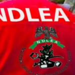 NDLEA arresta a mexicano detrás de cártel transnacional de drogas en Nigeria y desmantela laboratorio de metanfetamina
