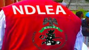 NDLEA-arresta-a-mexicano-detras-de-cartel-transnacional-de-drogas.png