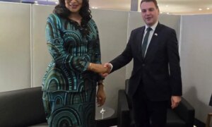 Nigeria-y-Republica-Checa-profundizan-lazos-comerciales-y-de-inversion.jpg