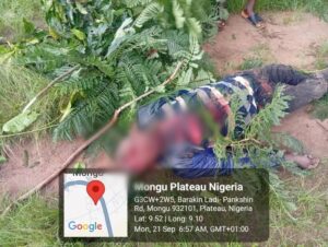Presuntas-milicias-fulani-matan-a-un-hombre-de-32-anos.jpg