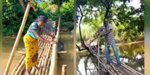 Un-peligroso-puente-de-bambu-pone-en-riesgo-a-la.jpg
