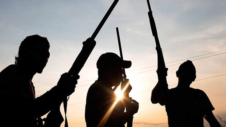 14-bandidos-asesinados-en-Katsina-mientras-los-cazadores-frustran-un.jpg