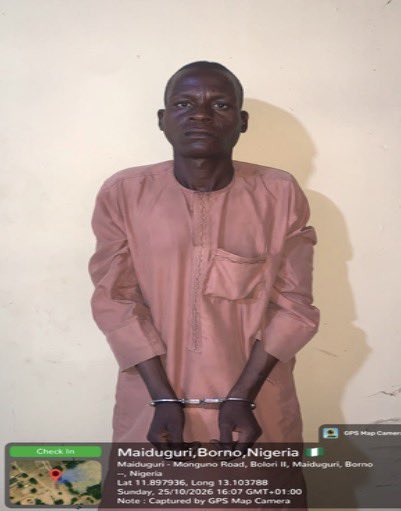 Las tropas arrestan a un informante de ISWAP que proporcionaba inteligencia sobre despliegues militares en Borno
