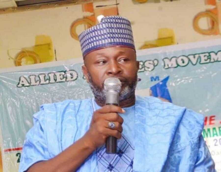 IPAC-destaca-esfuerzos-para-fortalecer-la-cultura-democratica-de-Nigeria.jpg
