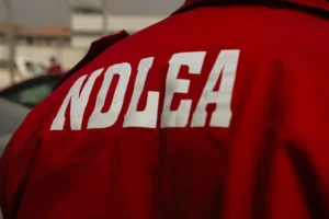 La-NDLEA-arresta-a-una-mujer-sudafricana-con-3665-kg.webp
