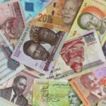 La recuperación monetaria de África se revierte a medida que más monedas se debilitan en septiembre