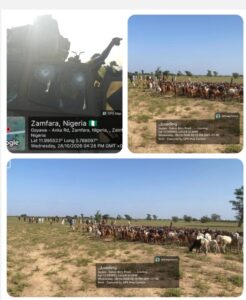 Las-tropas-frustran-una-emboscada-en-Zamfara-rescatan-a-2.jpg