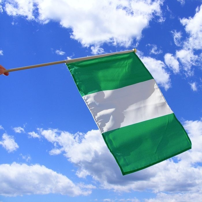 Lo-que-Nigeria-podria-adoptar-de-Europa-para-regular-los.jpeg