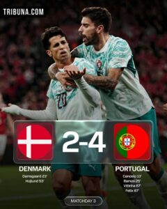 Portugal-sin-Ronaldo-vence-a-Dinamarca-en-un-thriller-de.jpeg