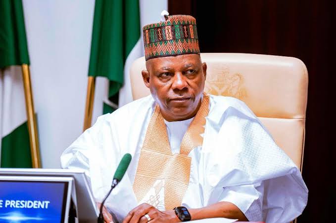 Shettima-propone-una-revision-anual-de-los-mercados-electricos-de.jpg