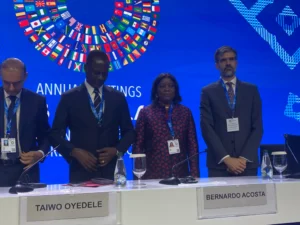 Taiwo-Oyedele-advierte-contra-nuevos-impuestos-ahora.webp