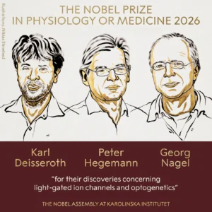 Tres-cientificos-estadounidenses-y-alemanes-ganan-el-Premio-Nobel-de.webp
