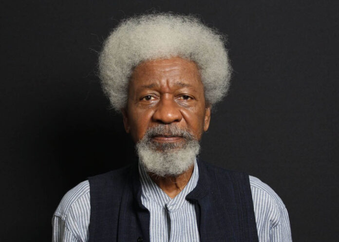 Wole-Soyinka-696x497.jpg